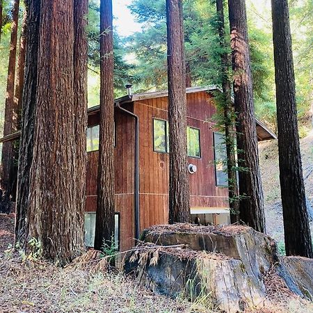 ガーバービルLittle House In The Redwoods With A Hot Tub!アパートメント エクステリア 写真
