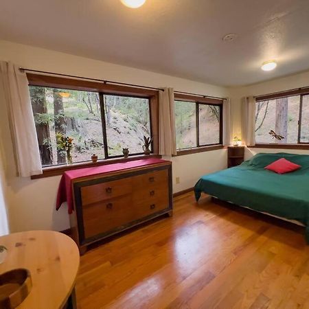 ガーバービルLittle House In The Redwoods With A Hot Tub!アパートメント エクステリア 写真
