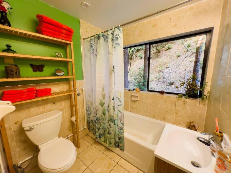 ガーバービルLittle House In The Redwoods With A Hot Tub!アパートメント エクステリア 写真