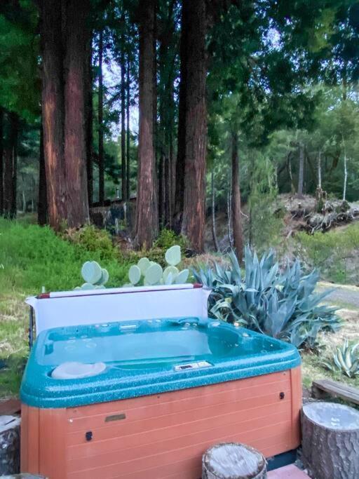 ガーバービルLittle House In The Redwoods With A Hot Tub!アパートメント エクステリア 写真