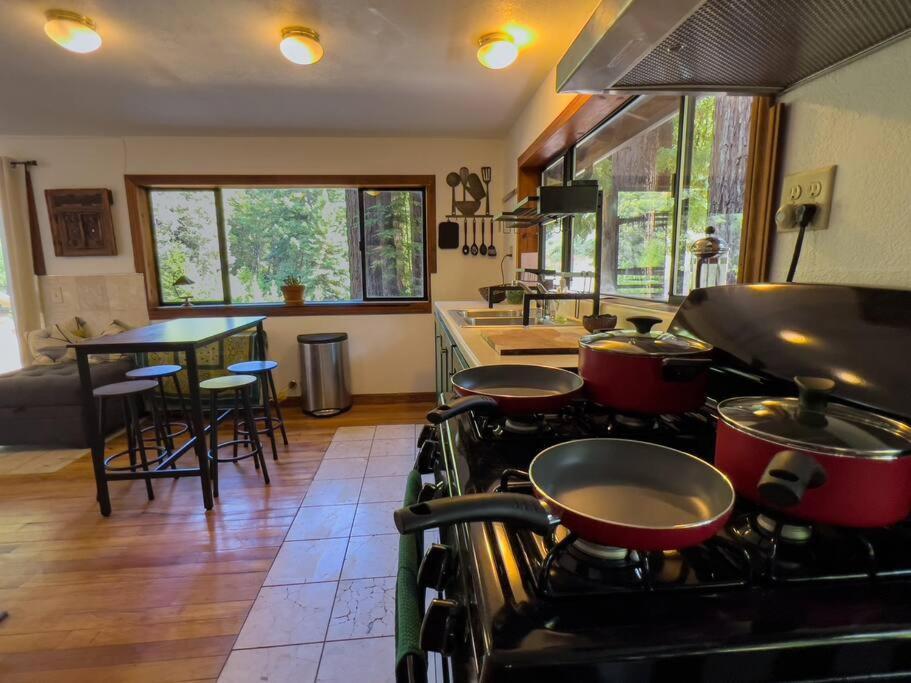 ガーバービルLittle House In The Redwoods With A Hot Tub!アパートメント エクステリア 写真